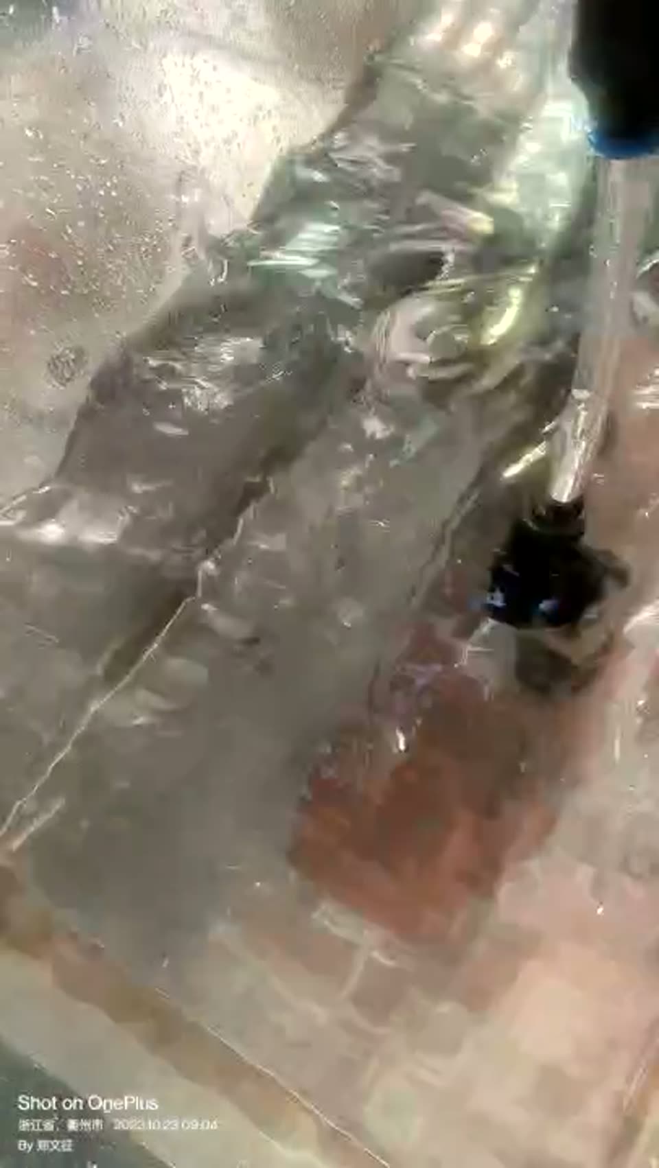 纳米气泡与微米气泡过程观察视频封面