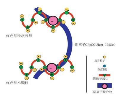 气浮撇渣污泥脱水示意图
