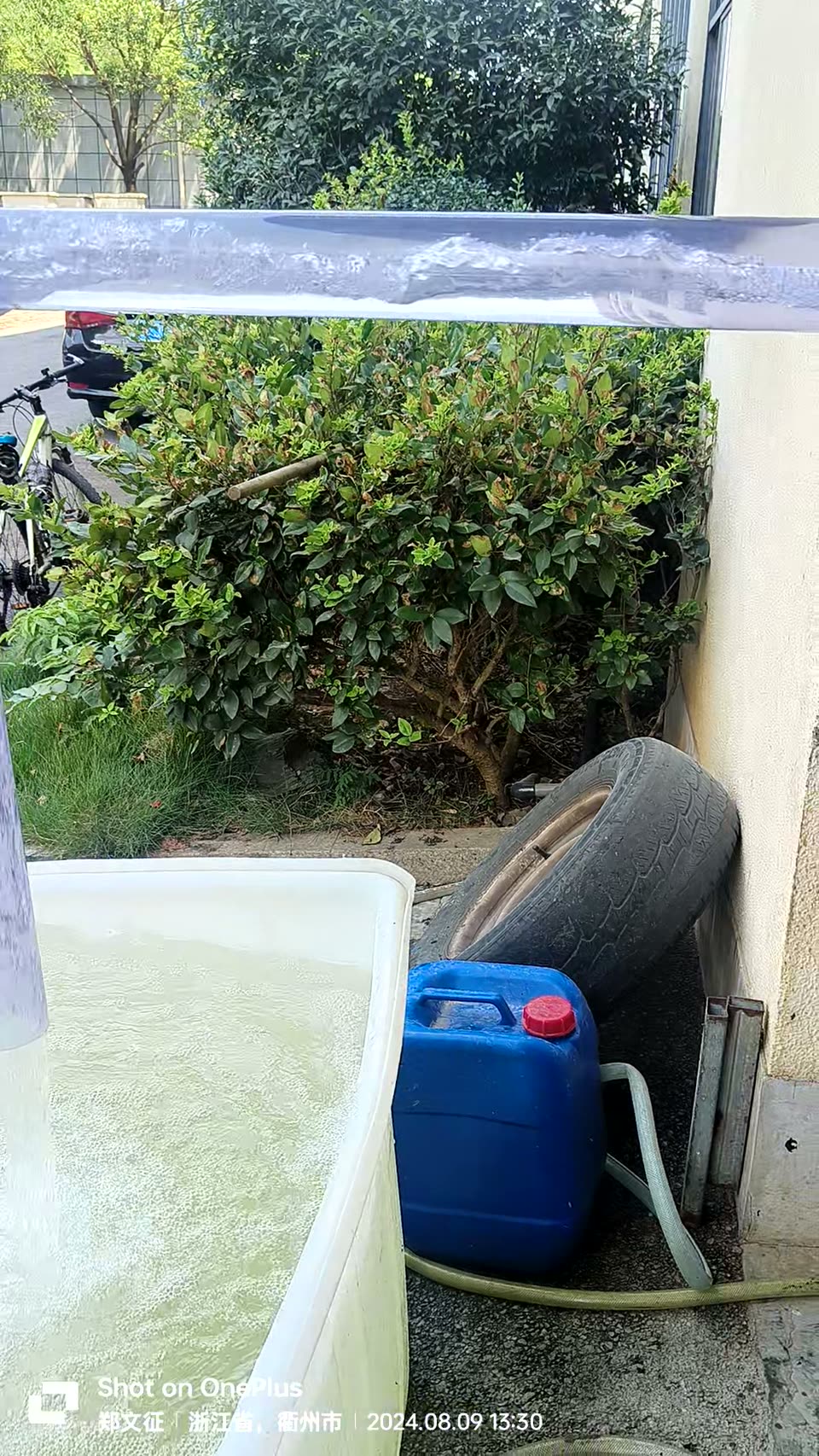 旋流流场可视化实拍