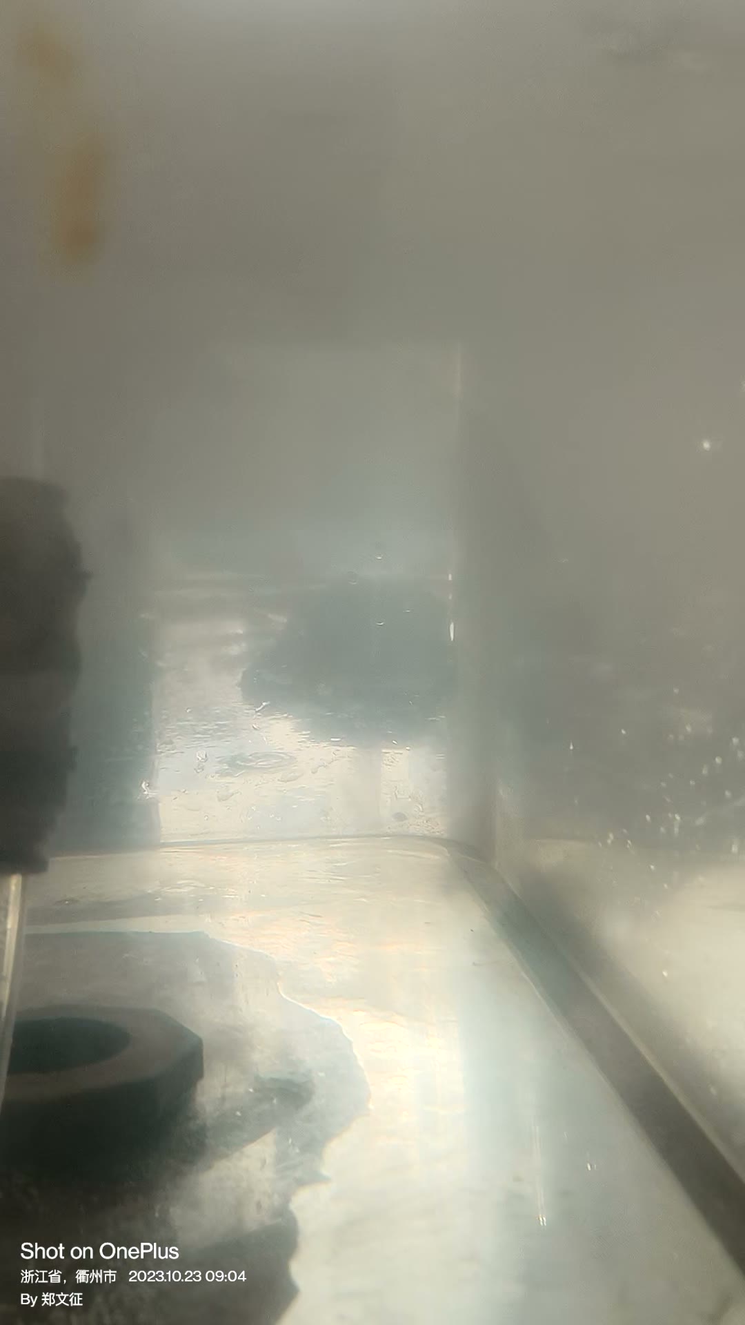 最终澄清稳定