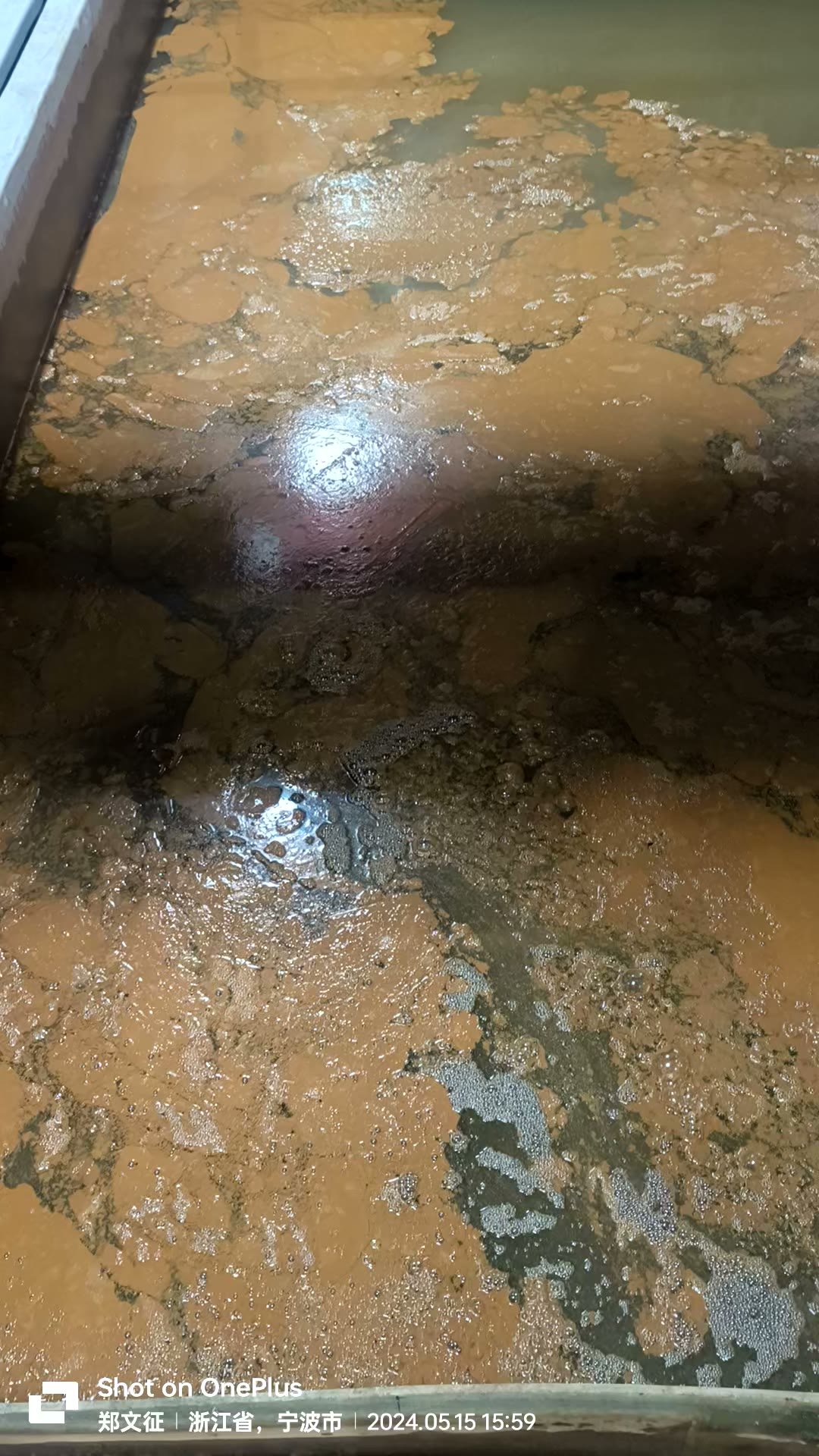 膜面密布滤饼