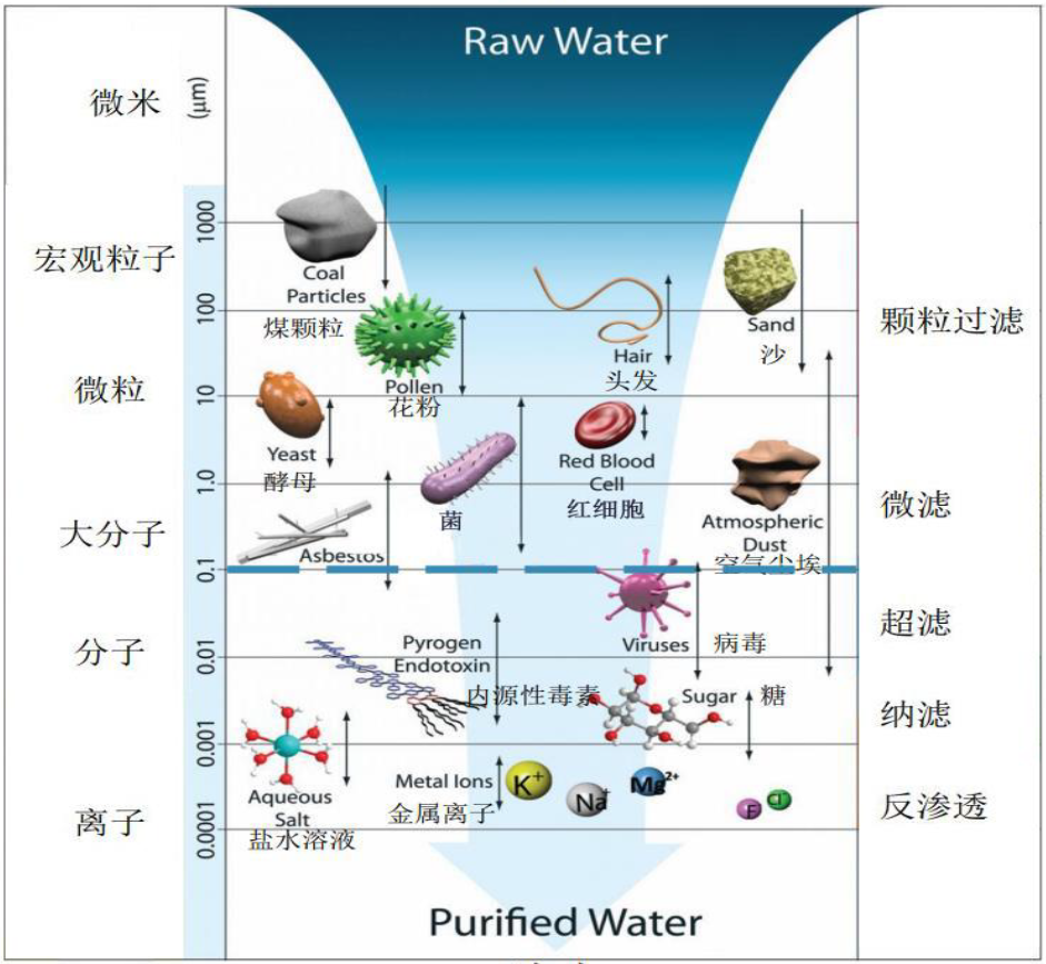 膜过滤孔径谱图 Raw Water → Purified Water