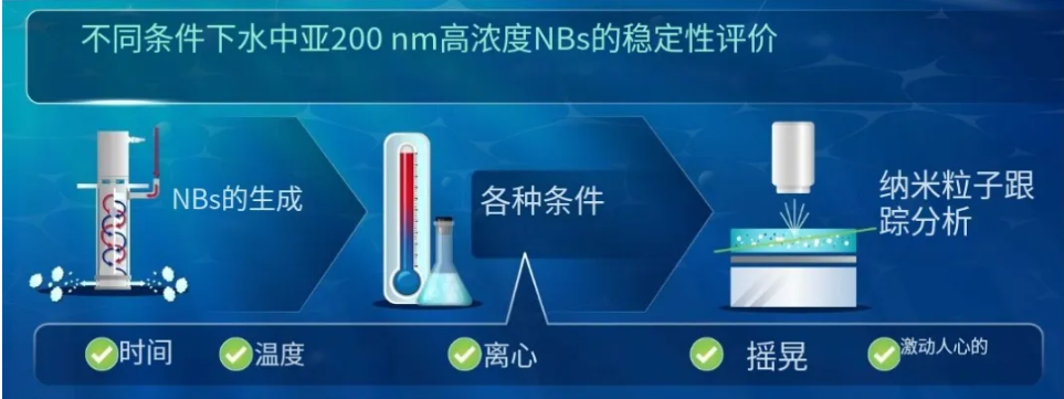 纳米气泡稳定性评价流程图