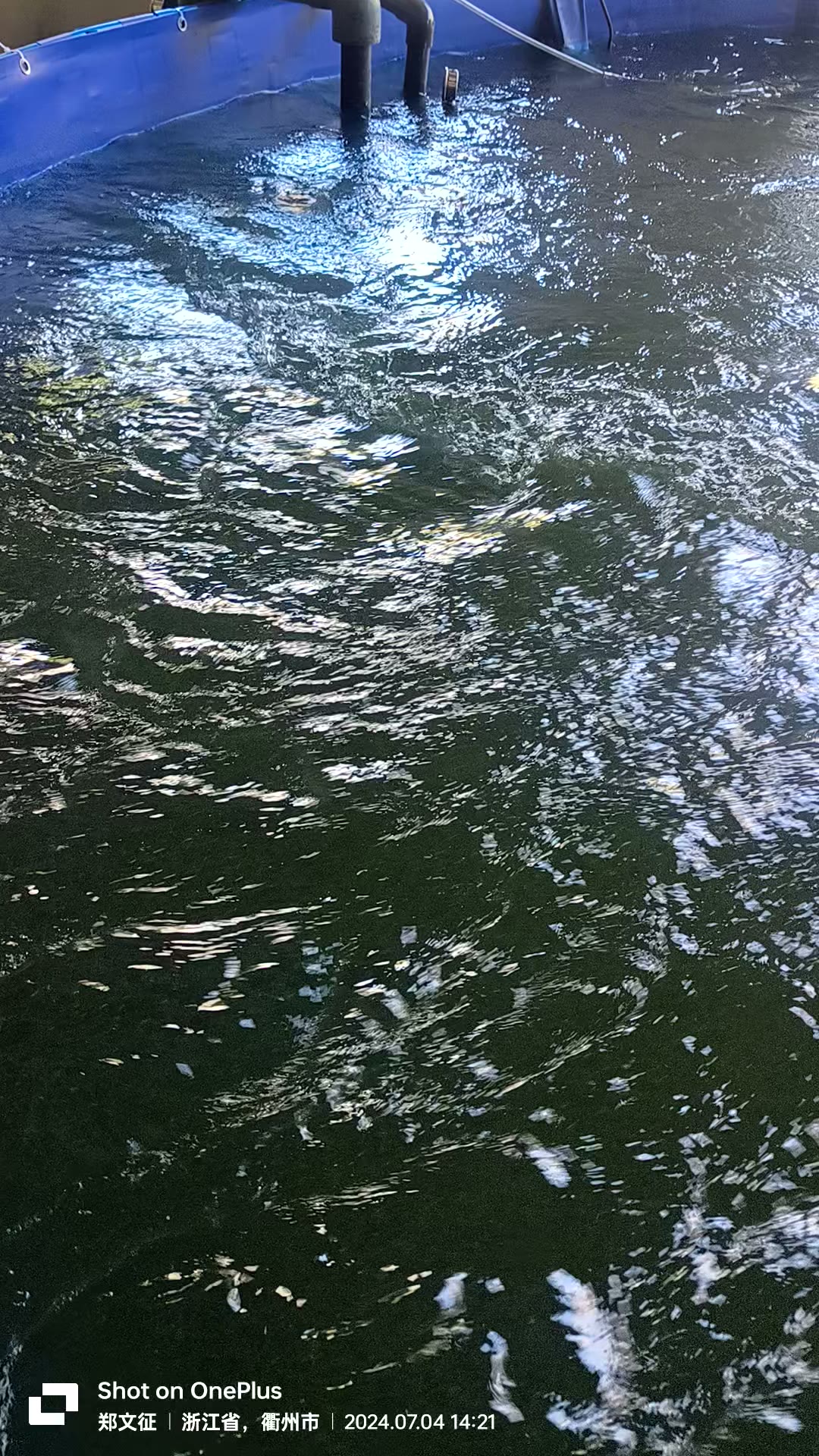 纳米气泡发生器内部结构